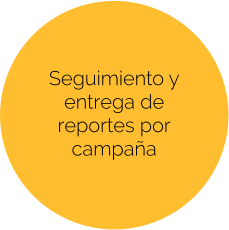 Seguimiento y entrega de reportes por campaña