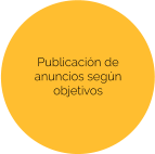 Publicación de anuncios según objetivos